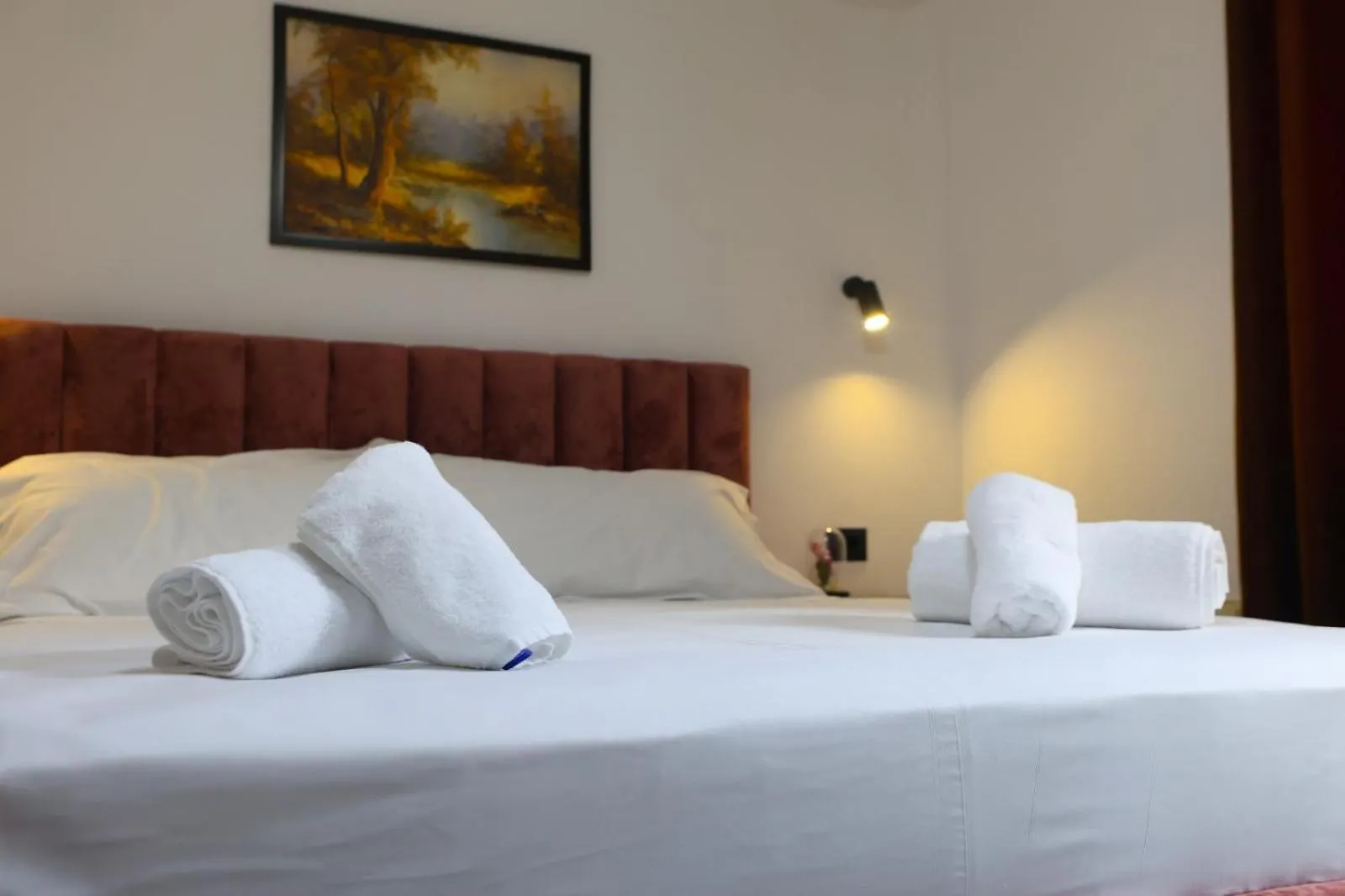Vila Alizee Hotel Тирана