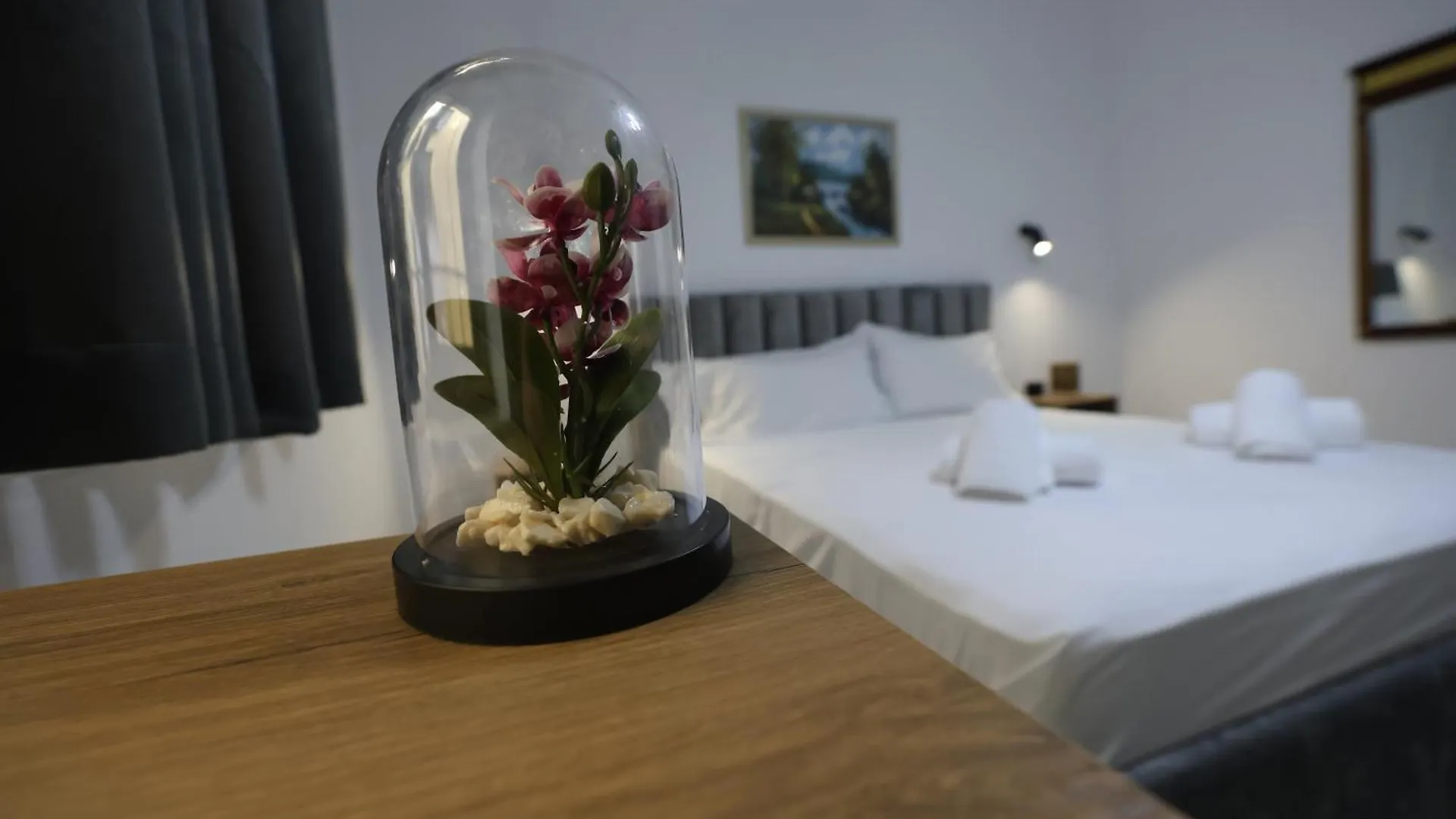 Vila Alizee Hotel تيرانا 3*,  ألبانيا